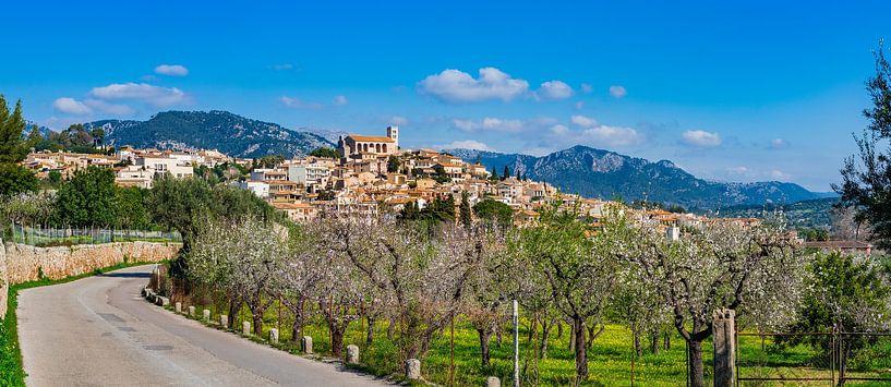 Panoramic view of mediterranean village Selva on Mallorca by Alex Winter