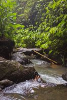 Streams at the waterfall