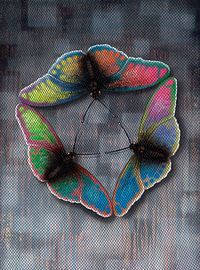 Butterfly Flight by Achim Prill