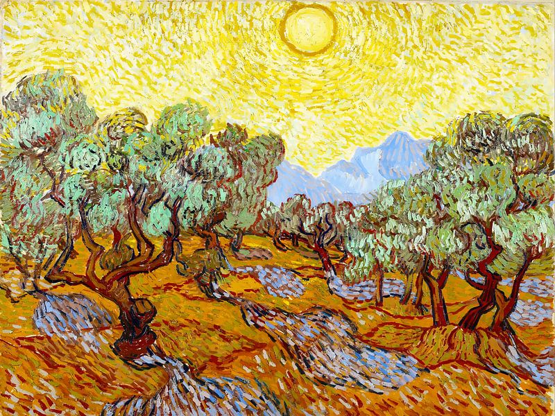 Olivenbäume mit gelber Sonne - Vincent van Gogh - 1889 von Doesburg Design