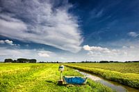 Zitten in het weiland