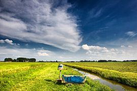 Auf der Wiese sitzend von Paul Teixeira