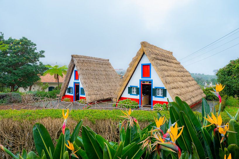 The Palheiros in Santana, Madeira by lars Bosch