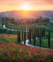 Zonsondergang in Toscane