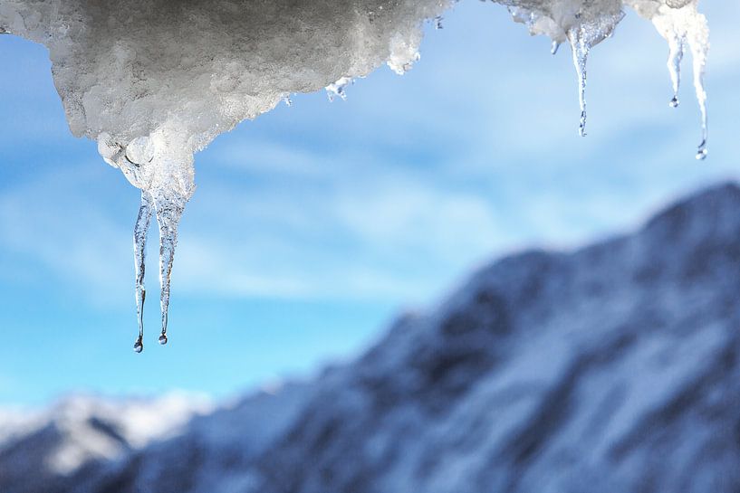 Eiszapfen von Frank Herrmann