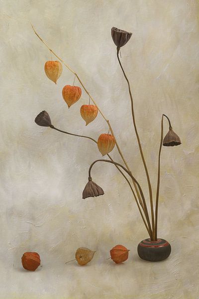 L O T O S . U N D . L A M P I O N S von Thomas Herzog