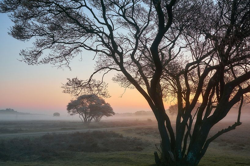 Zonsopkomst op de heide van Ad Jekel