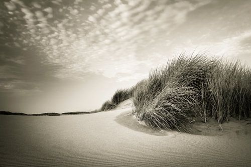 Simplicity by Martijn van der Nat
