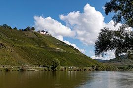 Pünderich by Richard Wareham