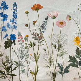 Botanische Sommerillustration von Wildblumen auf Beton. von Studio Pieternel