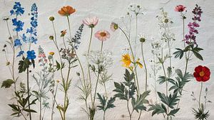 Botanische Sommerillustration von Wildblumen auf Beton.