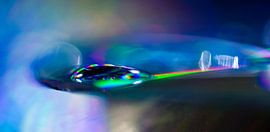 Makrofotografie Tropen