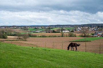 Groene heuvels in Vlaams Brabant van Werner Lerooy