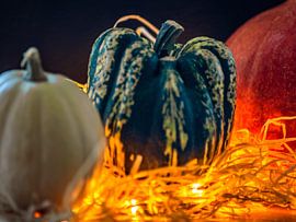 KONZEPT HERBST : KÜRBISSE IM OKTOBER von Photoart-Naegele
