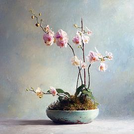 Orchids in a porcelain bowl