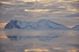 Swan Lake by Elisa in Iceland