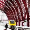 Centraal Station Antwerpen van Ingrid Van Damme fotografie