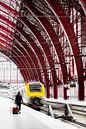Centraal Station Antwerpen van Ingrid Van Damme fotografie thumbnail