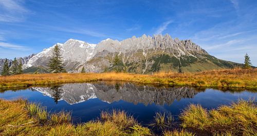 Le Haut-Koenigsbourg
