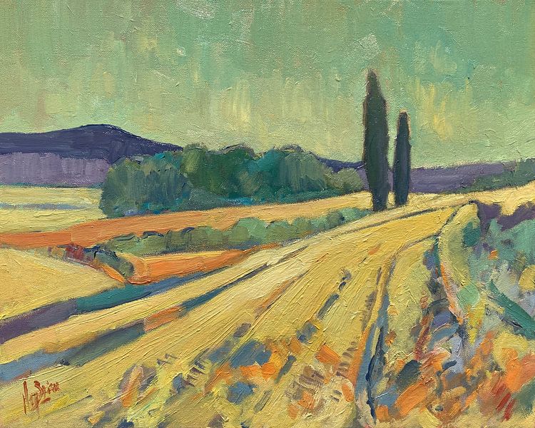 Grain fields South Limburg by Nop Briex