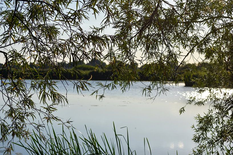 The IJssel floodplain from Zwolle by Carmen Nijenhuis