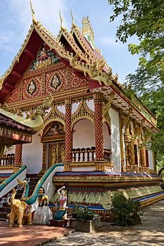 Wat Luang in Attapeu, het gouden juweel van Laos van Frank Photos