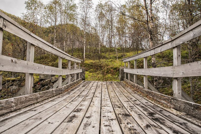 Pont par Kaj Hendriks