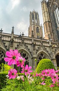 Domtoren en Domkerk in Utrecht met bloemen in het Pandhof in de voorgrond van Sjoerd van der Wal Fotografie