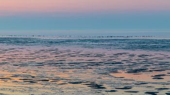 Kleuren  op de Waddenzee
