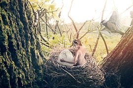 The Nest by Ralf Onvlee