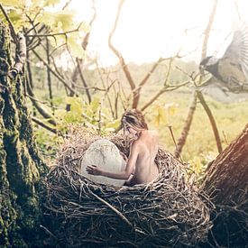 The Nest by Ralf Onvlee