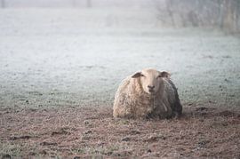 Countryside part 22 by Tania Perneel