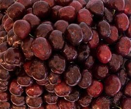 Rosenkirschen by Dieter Ettingshaus