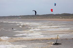 Wilder Strand