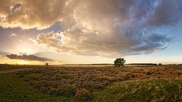 Ciel dramatique sur la lande sur KCleBlanc Photography