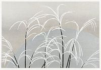 Moon and grasses (1909) by Unsodo. Original from The Rijksmuseum.