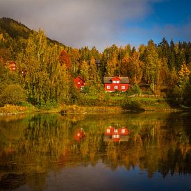 Herbst in Lillehammer in Oppland Norwegen von Hamperium Photography