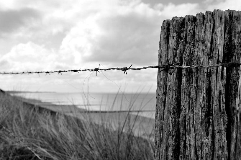 draad van Sabrina Varao Carreiro