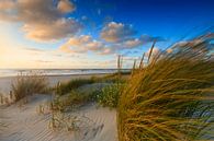 zonsondergang achter de Hollandse duinen von gaps photography Miniaturansicht