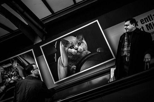 Schwarz Weiss - Don't talk to the driver