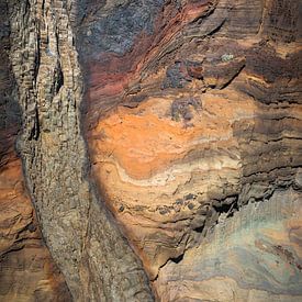 Farbige Zeitschichten in Madeiras Riffen von Rick Goede