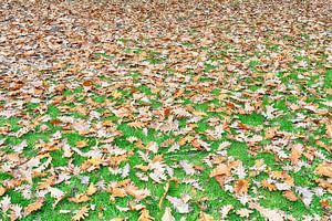 Autumn is coming