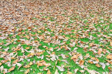 Autumn is coming by Ronald Smits