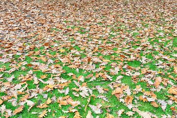 Autumn is coming by Ronald Smits