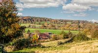 Herbstliche Farben auf den Hügeln Südlimburgs von John Kreukniet Miniaturansicht