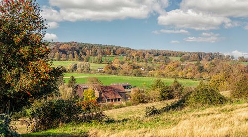 Herfstkleuren op de heuvels van Zuid-Limburg