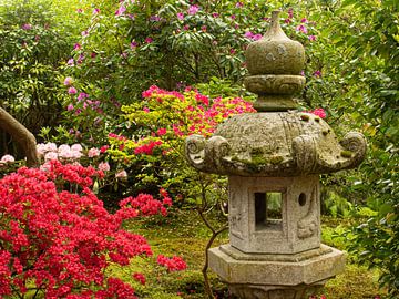 japanse tuin VII van Dietjee FoTo