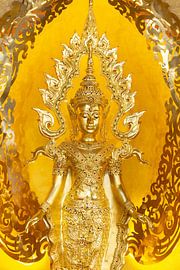 Dans la lumière de l'éveil intérieur sur Walter G. Allgöwer