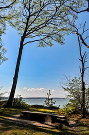 High shore near Lietzow, Great Jasmund Bodden by GH Foto & Artdesign