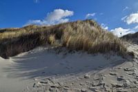 Duinen op Langeoog in de Noordzee Oost-Friesland